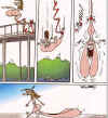 bungee.jpg (25060 bytes)